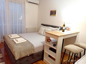 Studio Apartman TIM